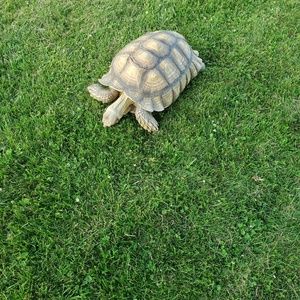 Meet your Posher, Matthews